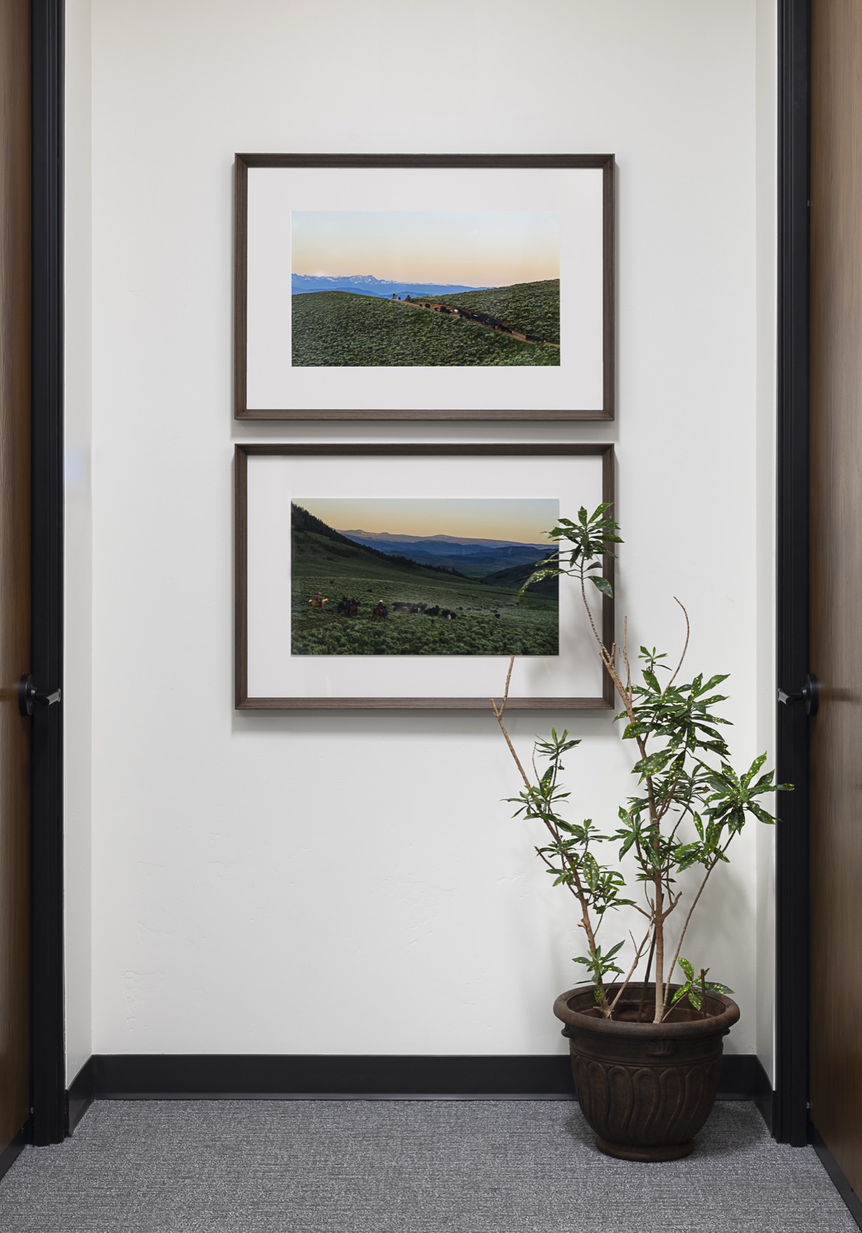 Stacked pair of framed photographs of a high-country cattle drive at dusk beside a potted plant
